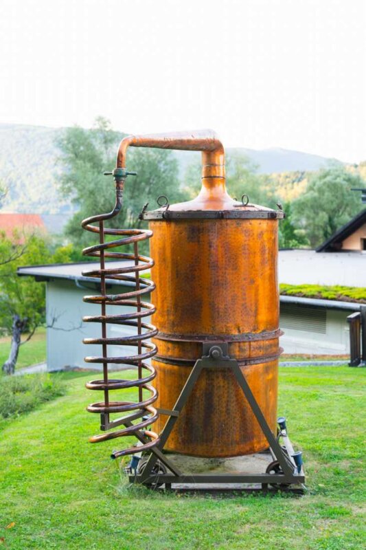 Suha krajina in Dolenjska