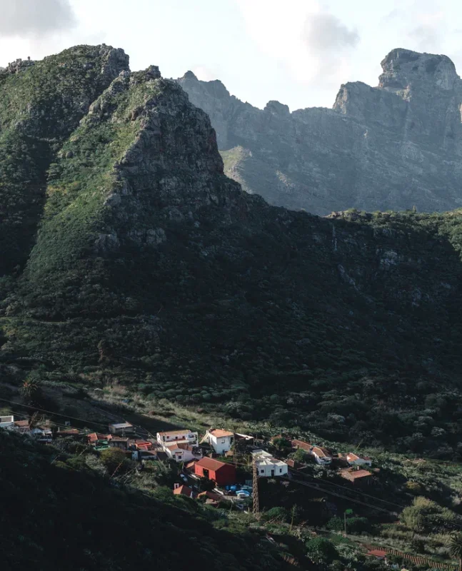 KANARSKI OTOKI-GRAN CANARIA IN TENERIFE