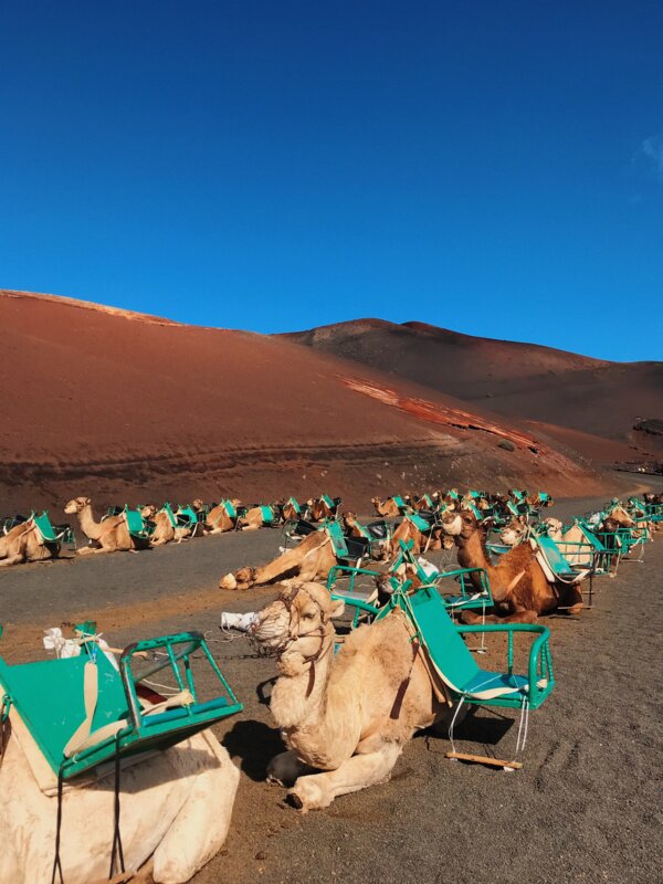 Aktivne počitnice na otoku Lanzarote