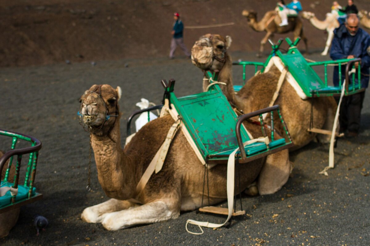 Aktivne počitnice na otoku Lanzarote