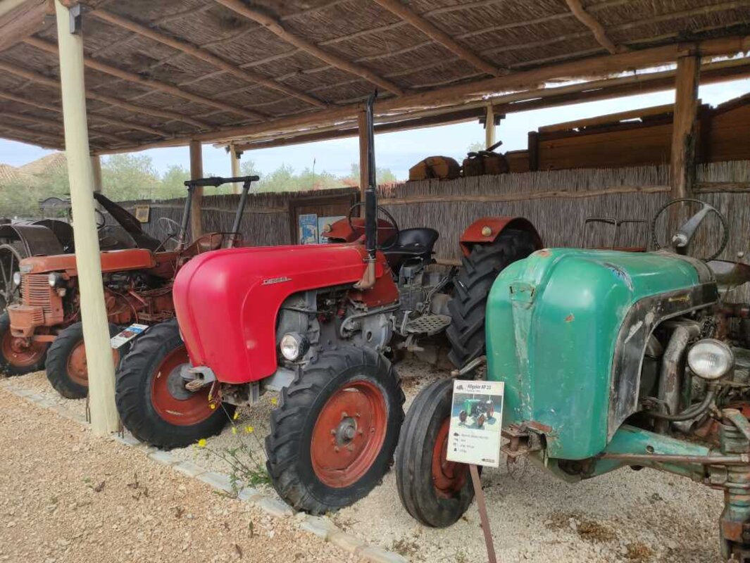 Poreč, jama Baredine in Tractor Story