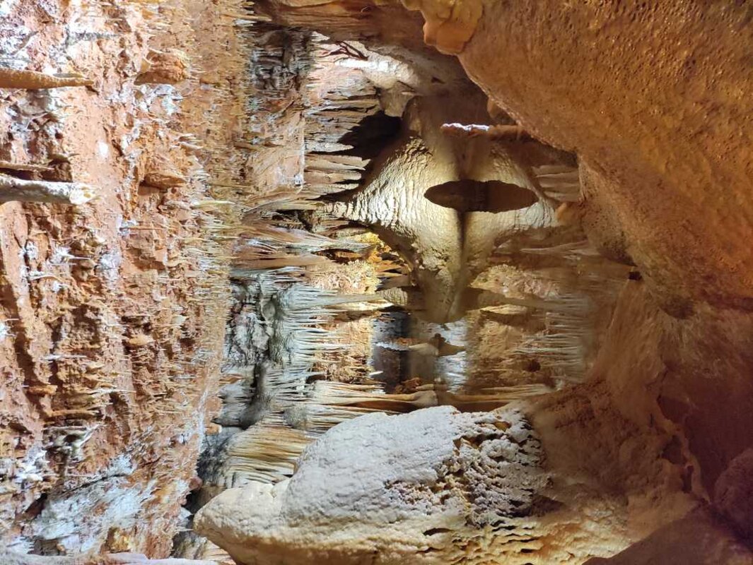 Poreč, jama Baredine in Tractor Story