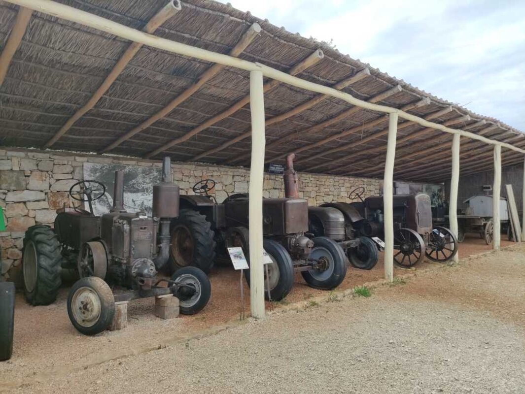 Poreč, jama Baredine in Tractor Story