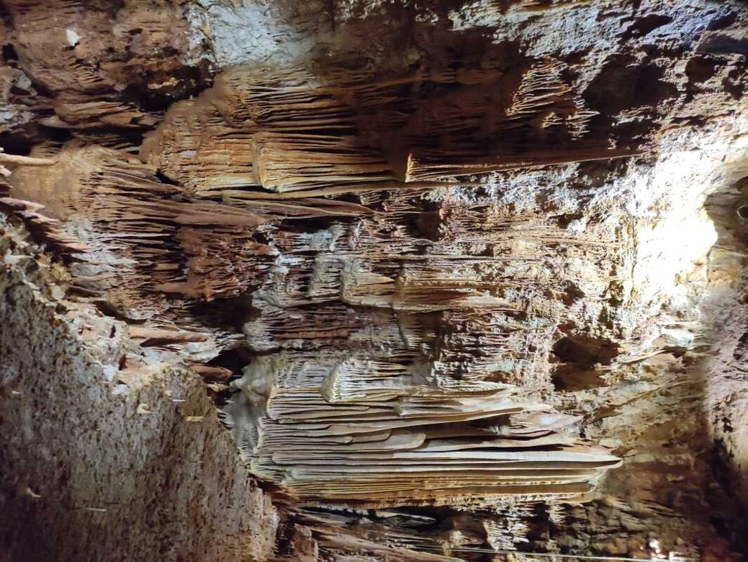 Poreč, jama Baredine in Tractor Story