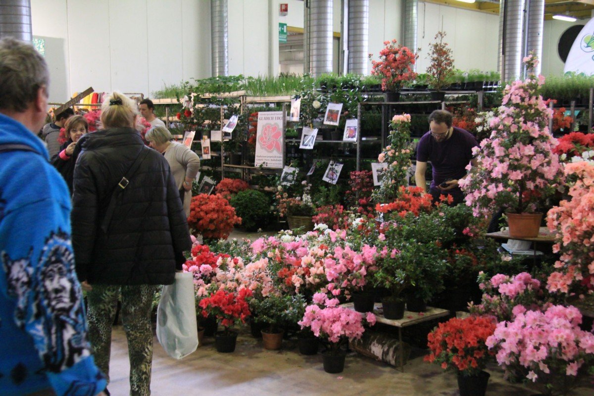 Pordenone (cvetlični sejem)