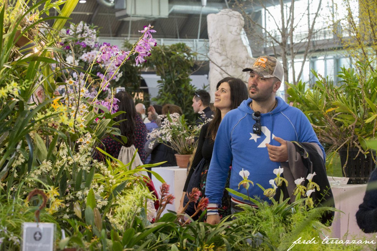 Pordenone (cvetlični sejem)