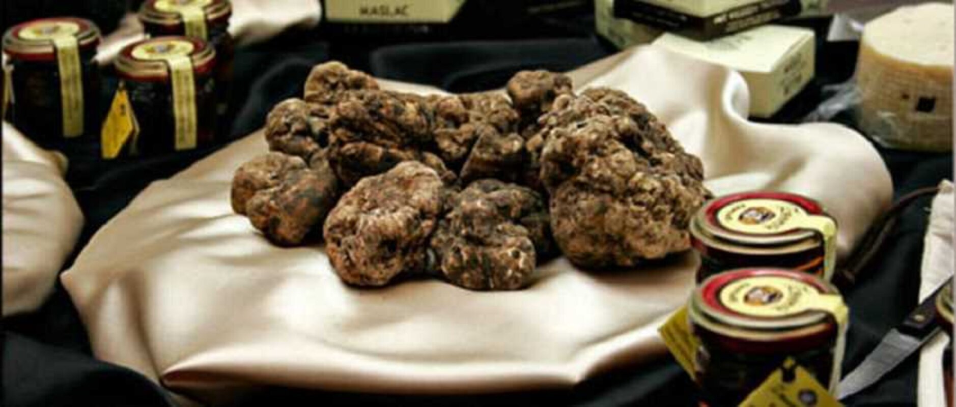 Dnevi tartufov v Istri