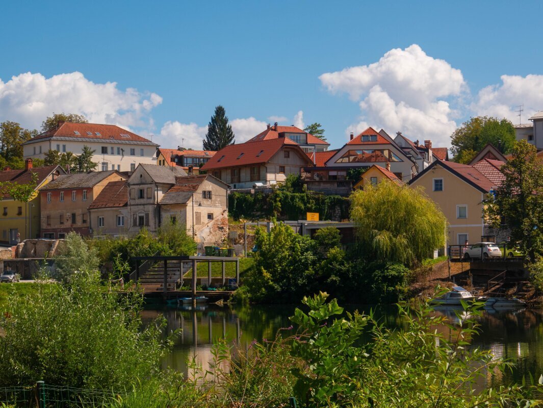 Veselo martinovanje na Dolenjskem