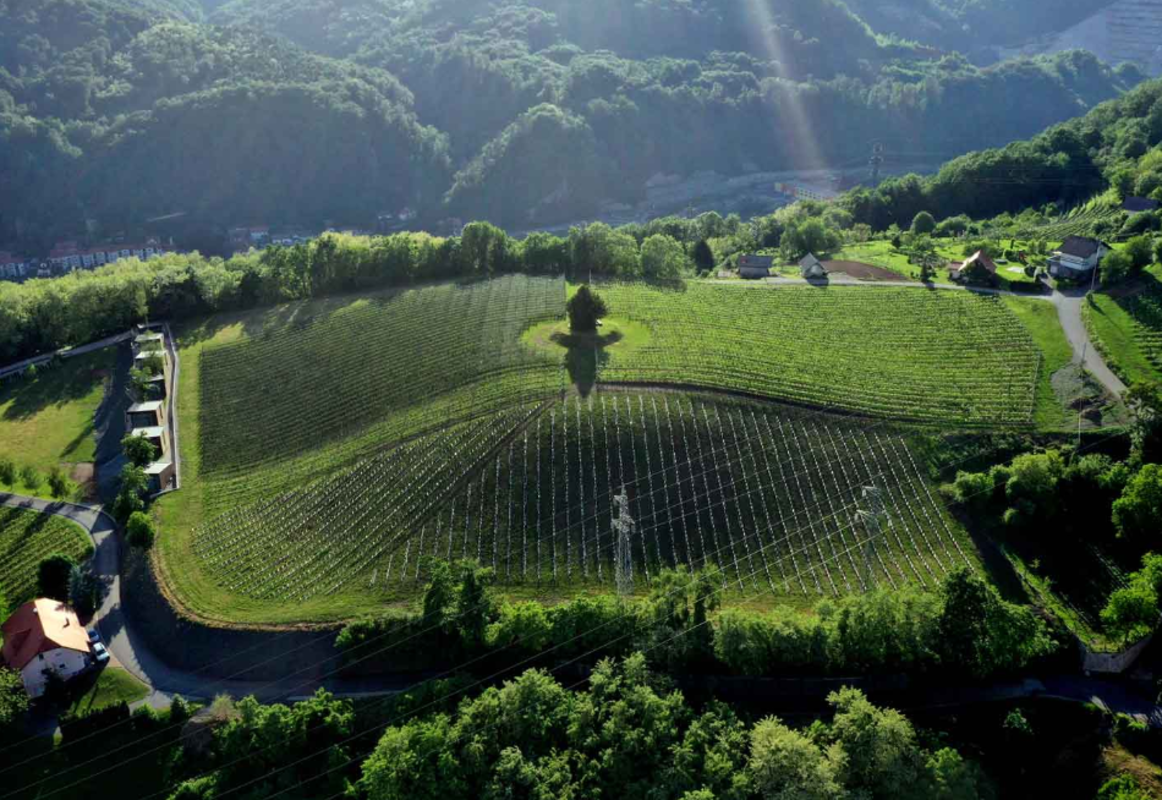 Dan žena v Posavju - čokoladno vino in grad Rajhenburg