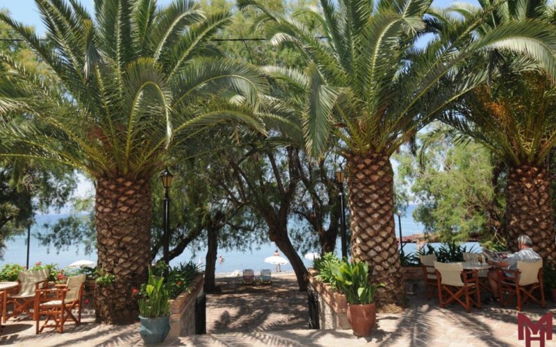 Grčija - lezbos - molyvos