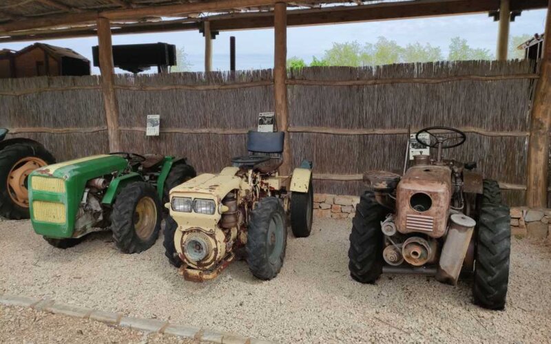 Poreč, jama Baredine in Tractor Story